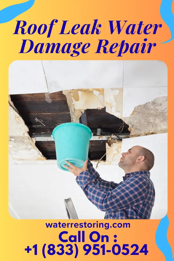 Roof Leak Water Damage Repair in Manlius, IL