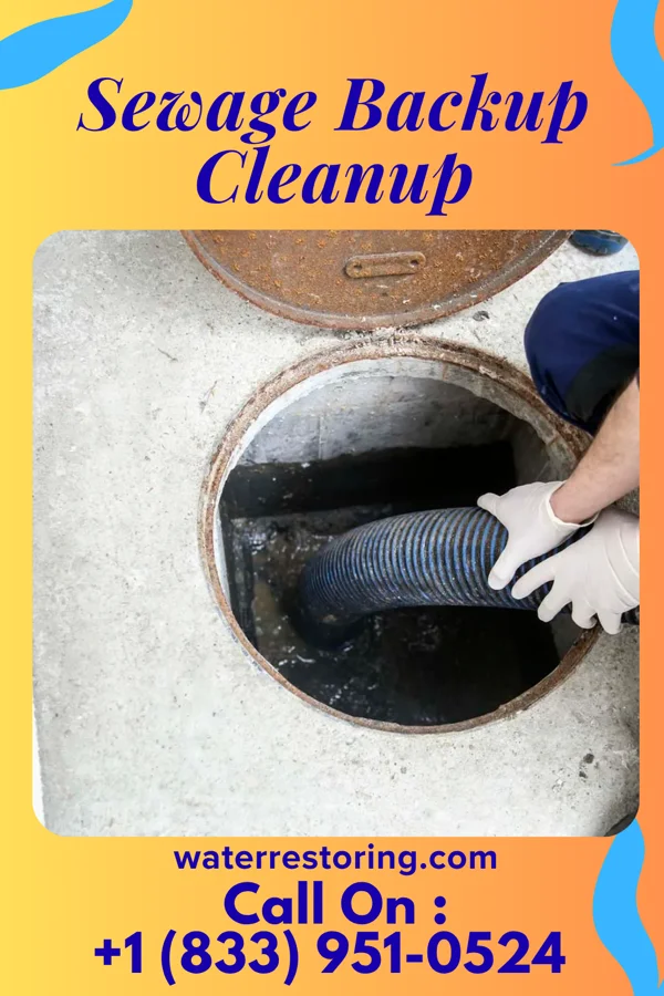 Sewage Backup Cleanup in Manlius, IL
